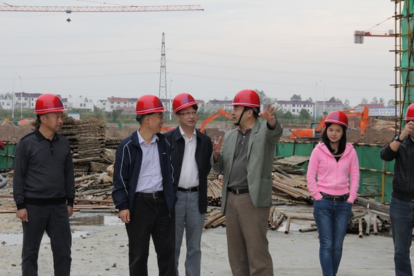 省国资委第二监事会主任王正发一行到公司检查指导工作